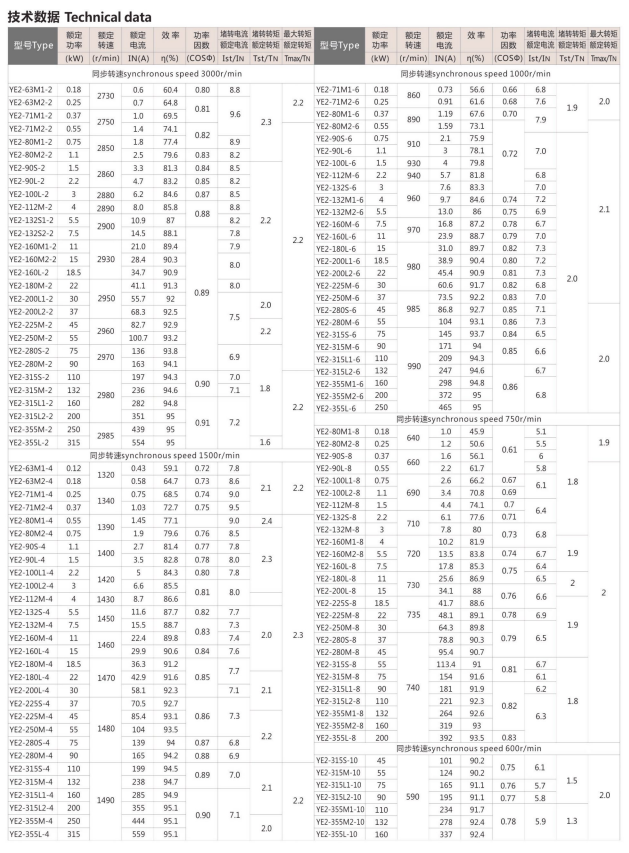 YE2 Series high efficiency three phase asynchronous motor